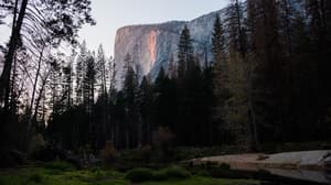 thumbnail: Hiking