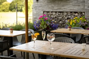 thumbnail: Terrace/patio