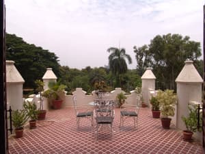 thumbnail: Garden view