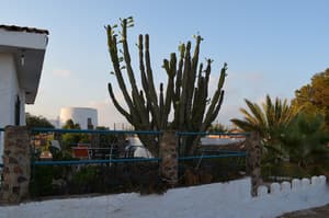 thumbnail: Exterior detail