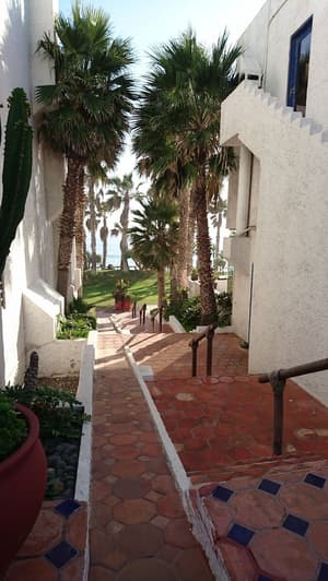 thumbnail: Interior