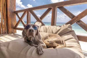 thumbnail: Terrace/patio
