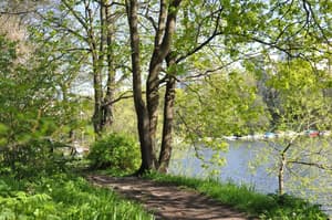 thumbnail: Lake