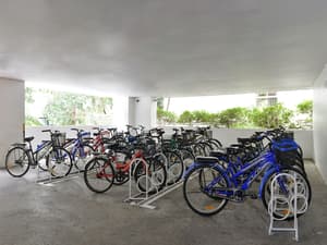 thumbnail: Bicycling