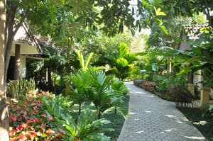 thumbnail: Garden view