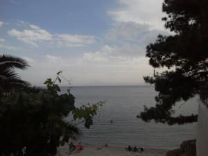 thumbnail: 90252522.jpg
