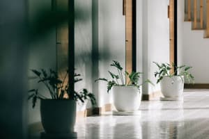 thumbnail: Interior detail