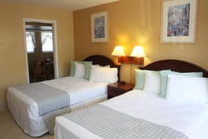 thumbnail: General view
