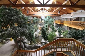 thumbnail: General view