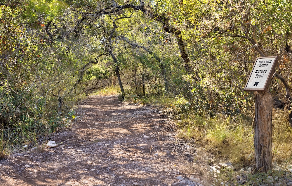 Hiking