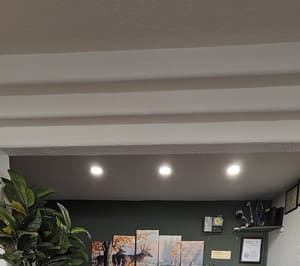 thumbnail: Reception