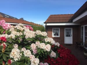 thumbnail: Front of property