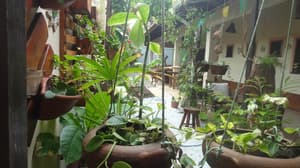 thumbnail: Interior