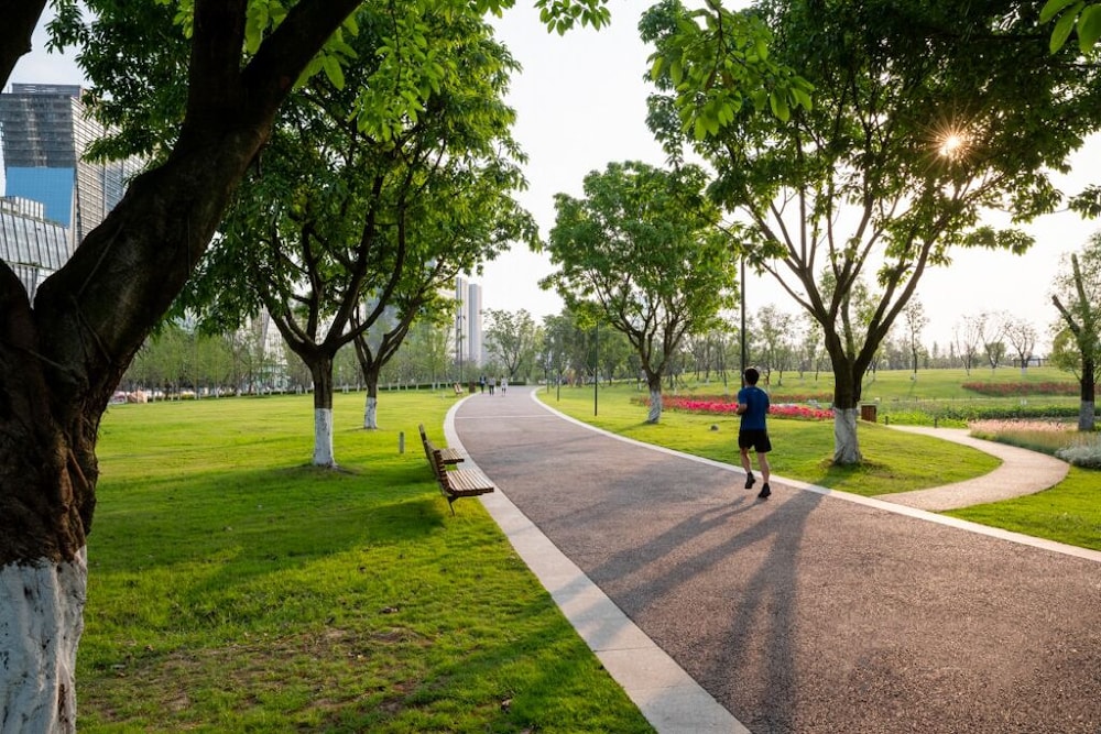 Park view
