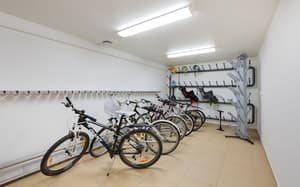 thumbnail: Bicycling