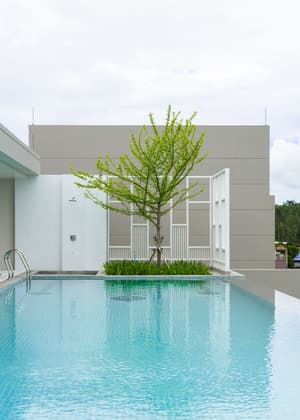 thumbnail: Garden