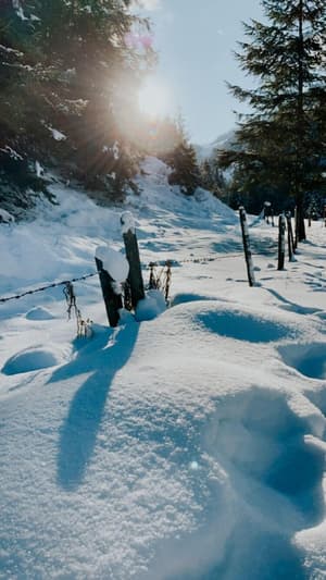 thumbnail: Snowshoeing