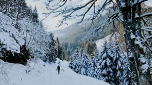 thumbnail: Snowshoeing