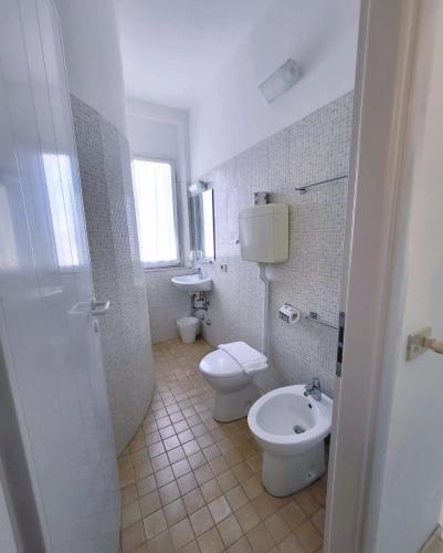 477040696.jpg