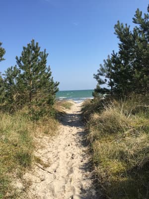 thumbnail: View from property
