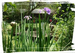 thumbnail: Property grounds