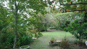 thumbnail: Property grounds