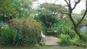 thumbnail: Property grounds
