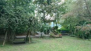 thumbnail: Property grounds