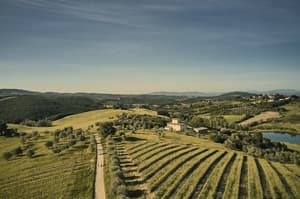 thumbnail: Aerial view
