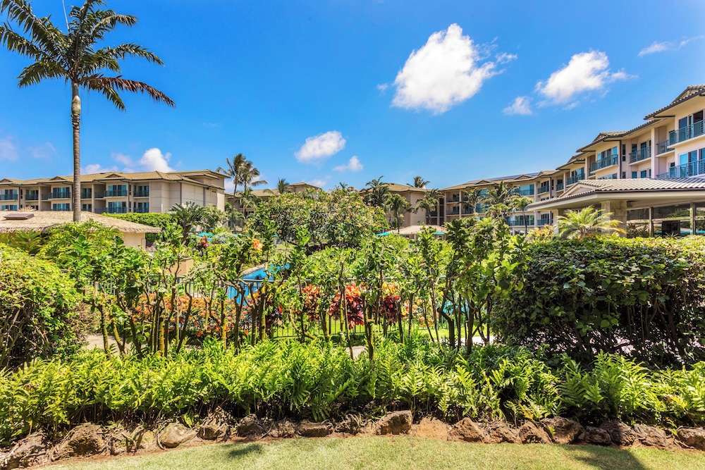 Garden view