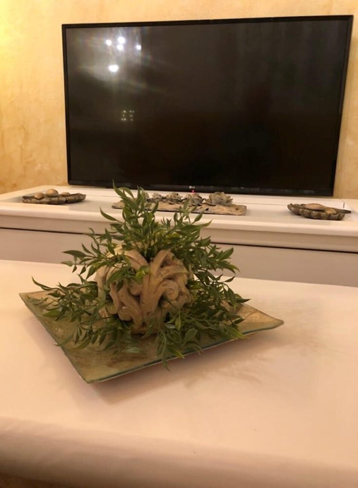Television