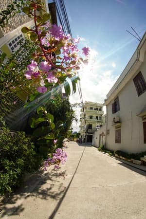 thumbnail: General view