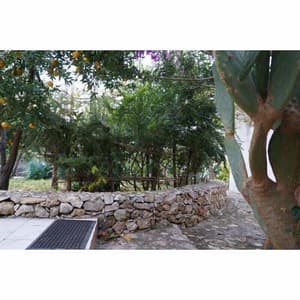 thumbnail: Garden