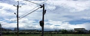 thumbnail: Property grounds