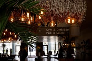 thumbnail: Reception