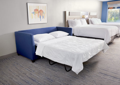 Lounge and relax in our guest room with a pull out sleeper sofa.