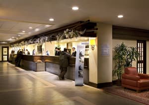thumbnail: Reception