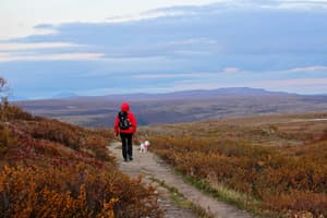 thumbnail: Hiking