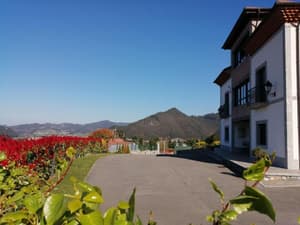 thumbnail: General view