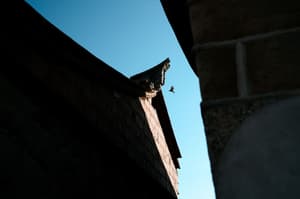thumbnail: View from property