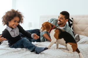 thumbnail: Pet-friendly