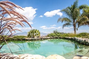 thumbnail: Natural pool