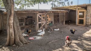 thumbnail: Property amenity
