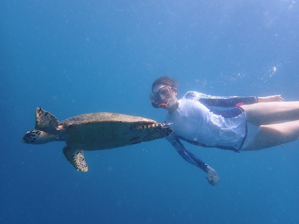 Surfing/boogie boarding