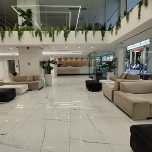 thumbnail: Reception