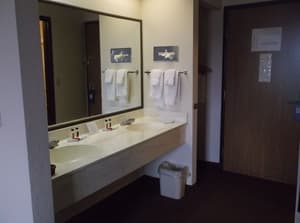 thumbnail: Bathroom sink