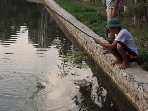 thumbnail: Fishing