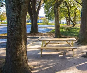 thumbnail: BBQ/picnic area