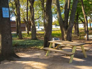 thumbnail: BBQ/picnic area