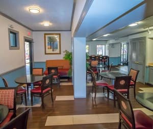 thumbnail: Dining
